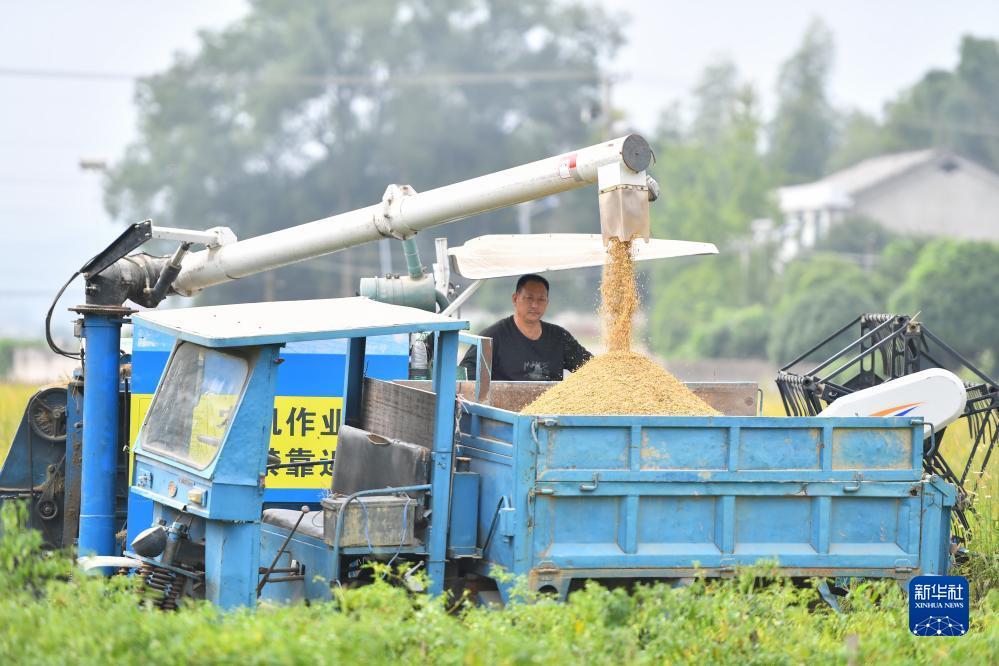 捕鱼能下分